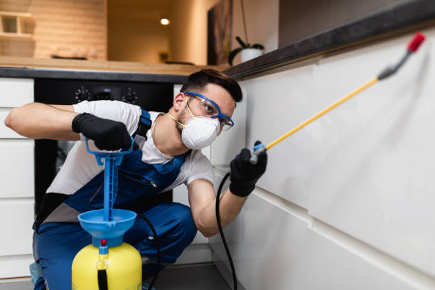 Best Pest Removal Services  in Lincoln, ND