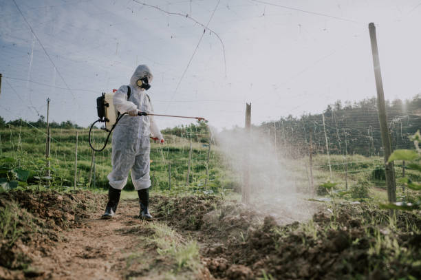 Best Best Pest Control Companies  in Lincoln, ND