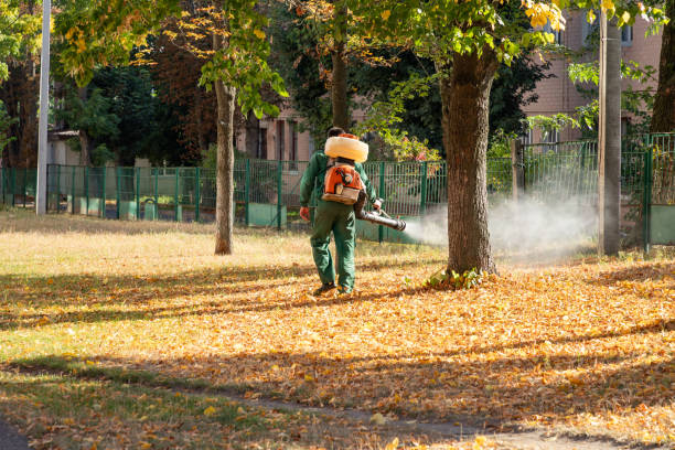Best Bed Bug Extermination  in Lincoln, ND