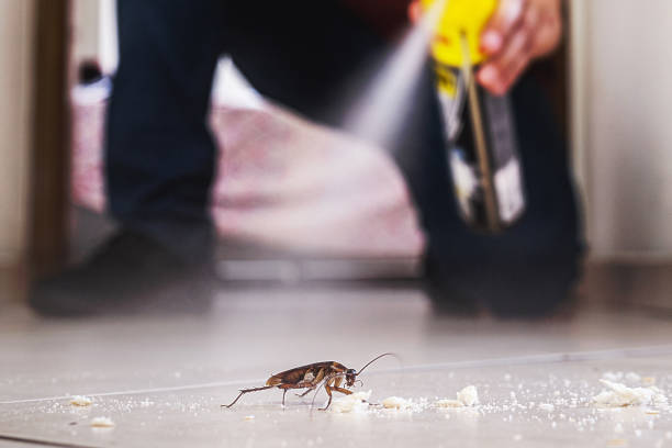Best Exterminator Services  in Lincoln, ND