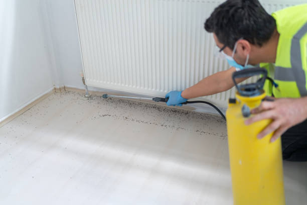 Best Residential Pest Control  in Lincoln, ND